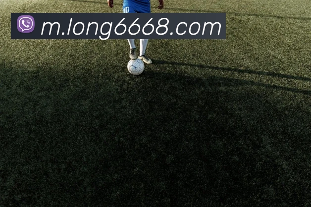 龙8-long8(国际)官方网站APP 封面图